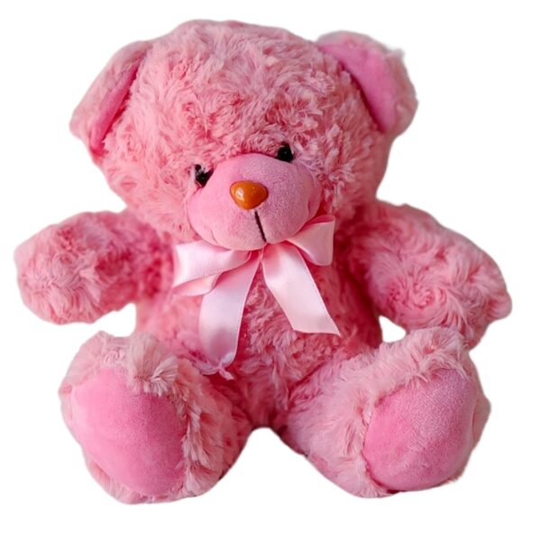 Teddycito-20cm - Imagen 2